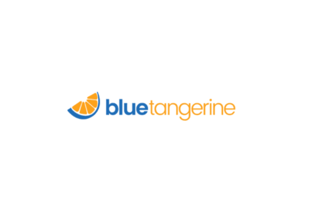 Blue Tangerine Digital Marketing Summit