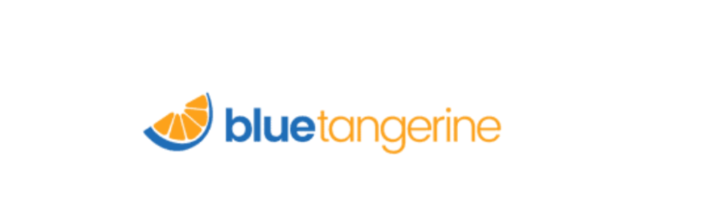Blue Tangerine Digital Marketing Summit