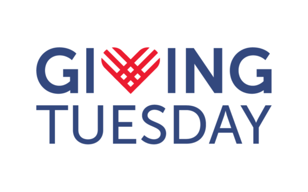 3 Impactful Organizations to Support This Giving Tuesday