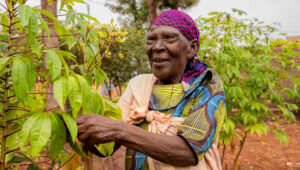 Baessler Homes Celebration