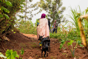 Baessler Homes Celebration