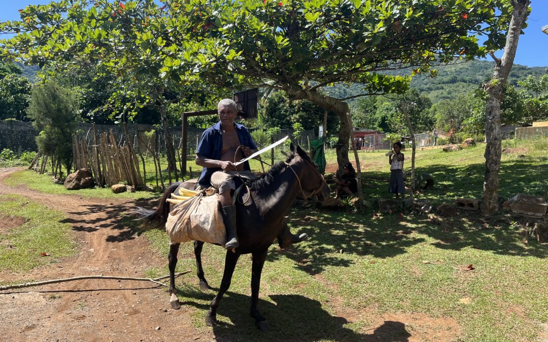 Joy and Purpose in the Dominican Republic: October HOPE Trip